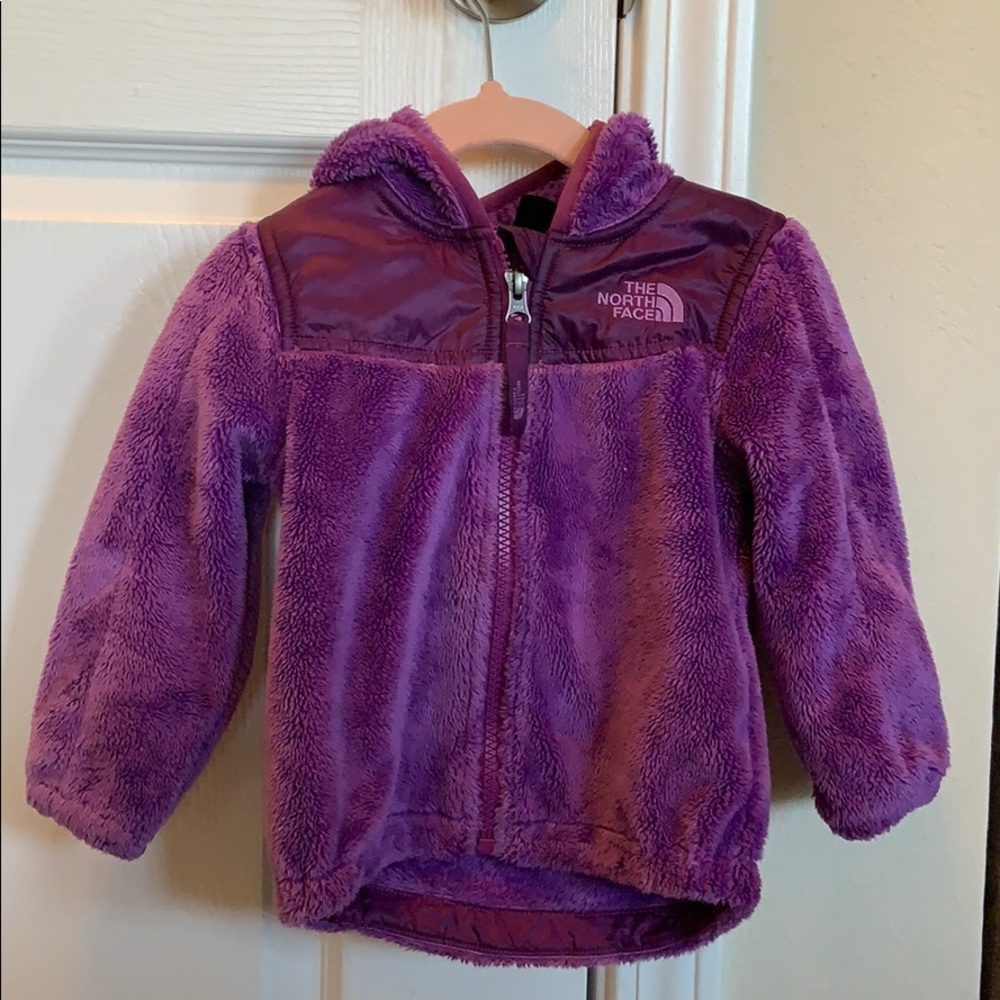 Toddler North Face Jacket